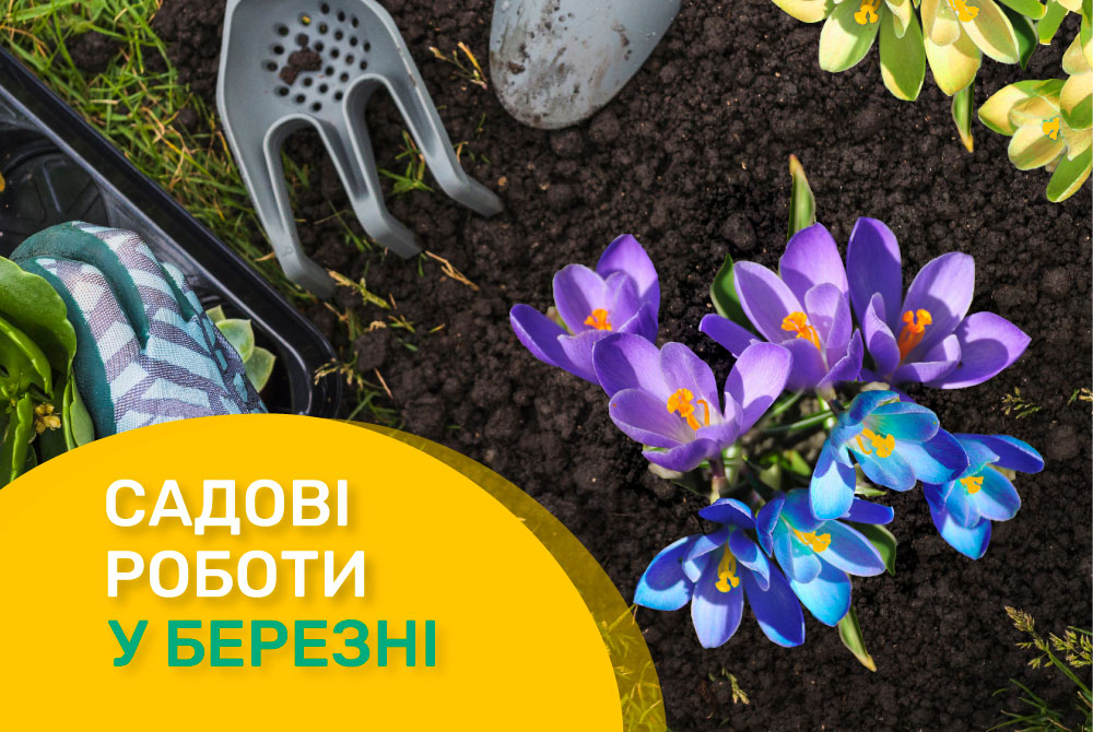 Календар садівника. Березень