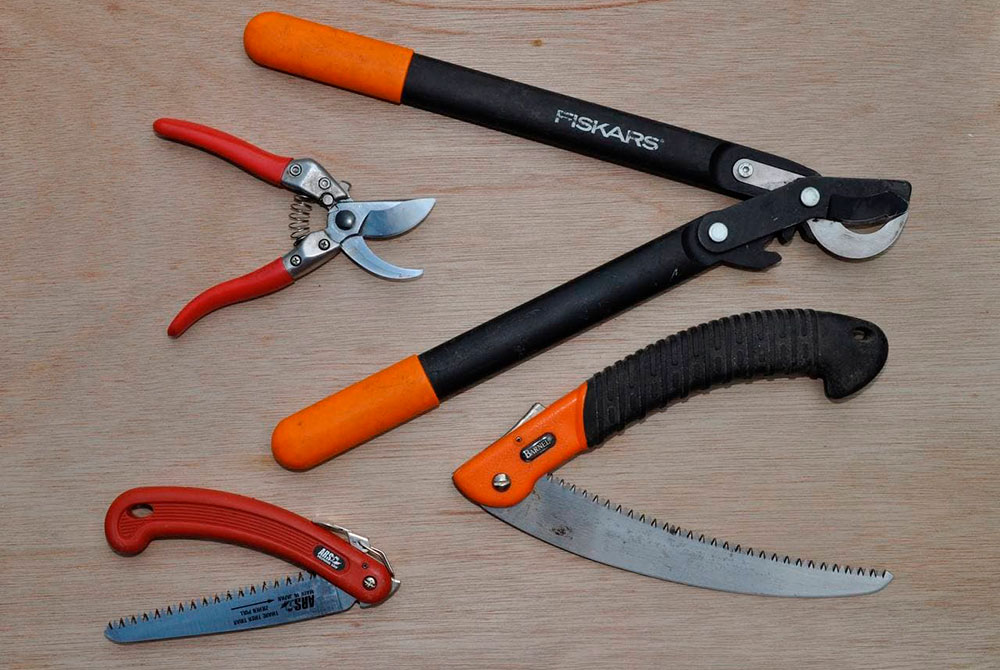 Чим обрізати рослини, або як вибрати інструмент для обрізки?