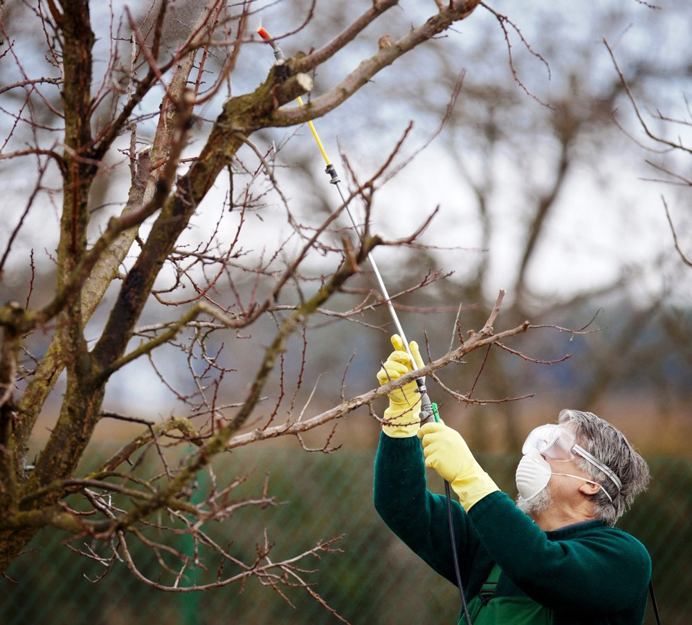 Осіннє викорінююче обприскування