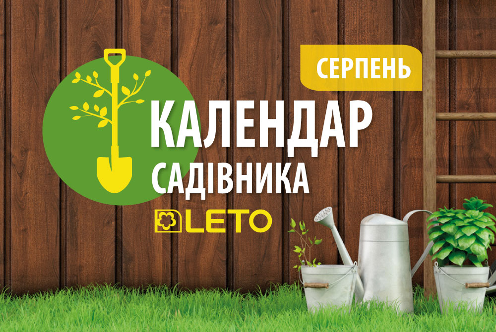 Календар садівника. Серпень