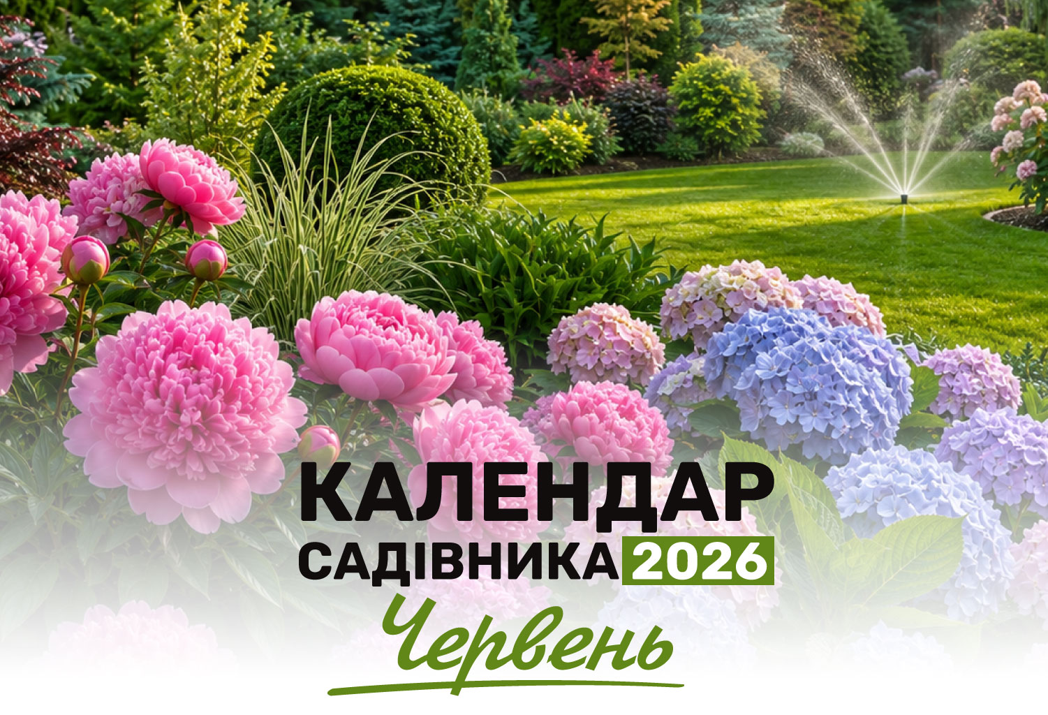 Календар садівника. Червень 2026
