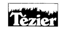 Tezier