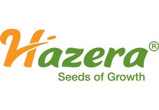 Hazera__logo
