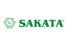 Sakata
