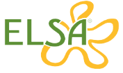 Elsa