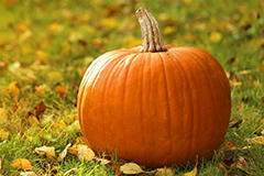 Семена тыквы