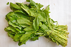 Семена шпината