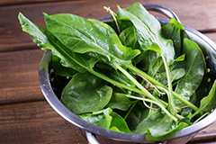 Семена щавеля