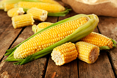 Семена кукурузы