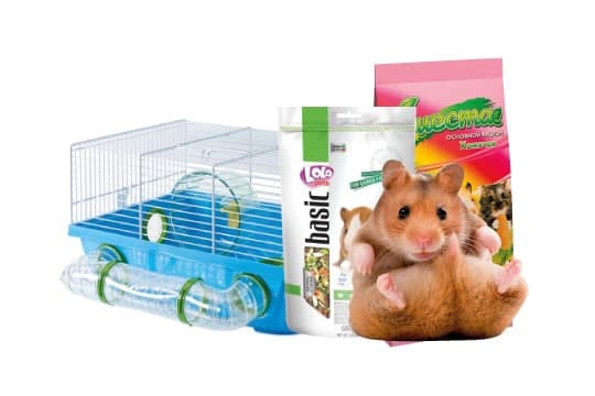 Товары для грызунов