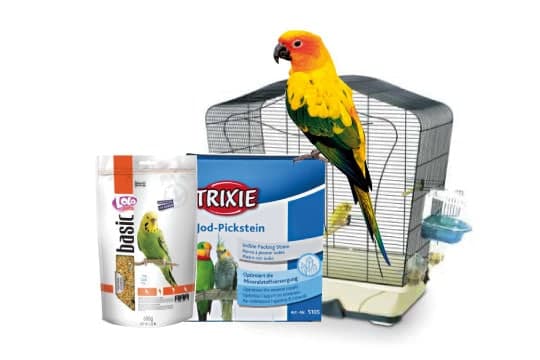 Товары для попугаев и птиц