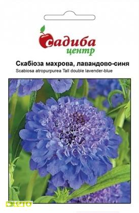 Насіння скабіози махрової, лавандово-синій, 0.2 м, Hem, Голландія, Садиба Центр