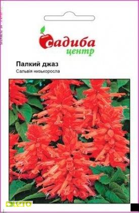 Насіння сальвії Палкий джаз, 0.1 г, Hem, Голландія, Садиба Центр