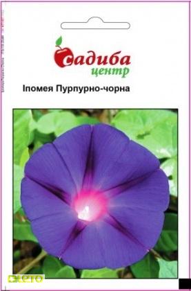 Насіння іпомеї Пурпурно-чорна, 0.5 г, Hem, Голландія, Садиба Центр