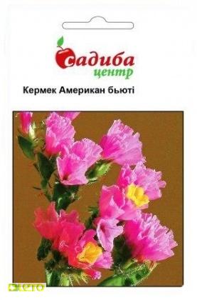 Насіння кермека Американ Б'юті, суміш 0.1 г, Hem, Голландія, Садиба Центр