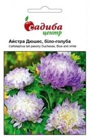 Насіння айстри Дюшес біло-блакитна, 0.2 м, Hem, Голландія, Садиба Центр