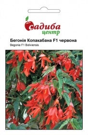 Насіння бегонії ампельної Копакабана F1, 5шт, Cerny, Чехія, Садиба Центр