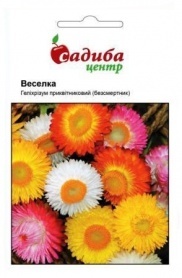 Насіння гелихризиума Веселка суміш, 0.2 м, Hem, Голландія, Садиба Центр