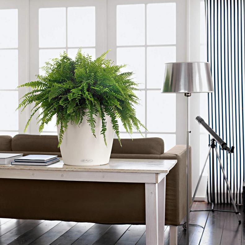 Розумний горщик Lechuza Classico Color 35 білий, 35х33 см (13210) 7