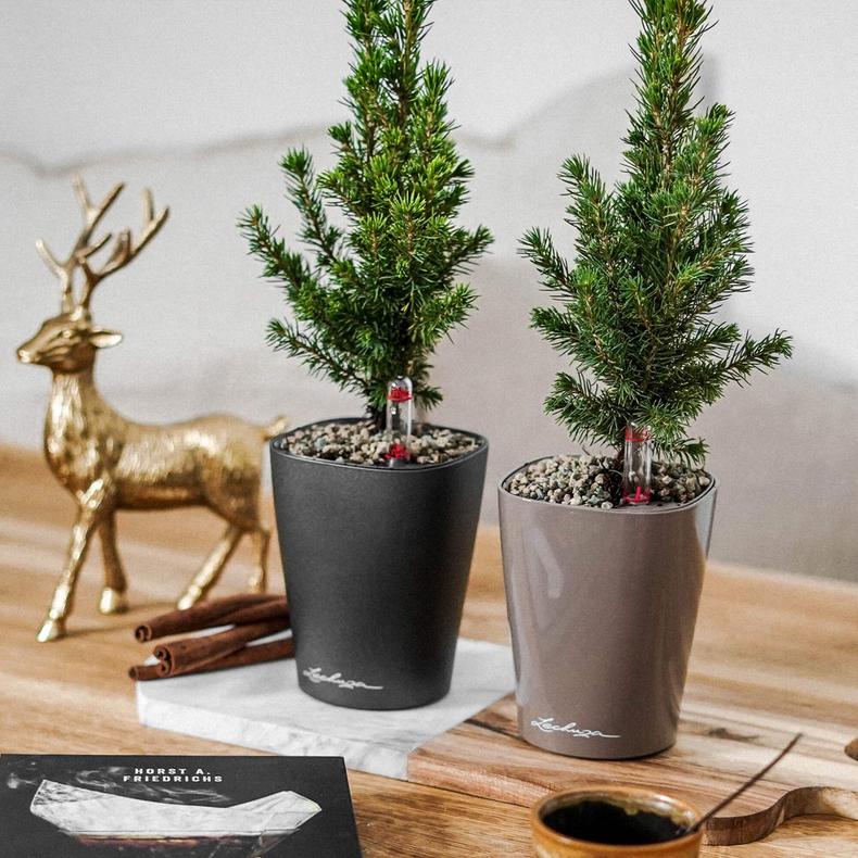 Розумний горщик Lechuza Deltini антрацит, 15x15x19 см (14903) 5