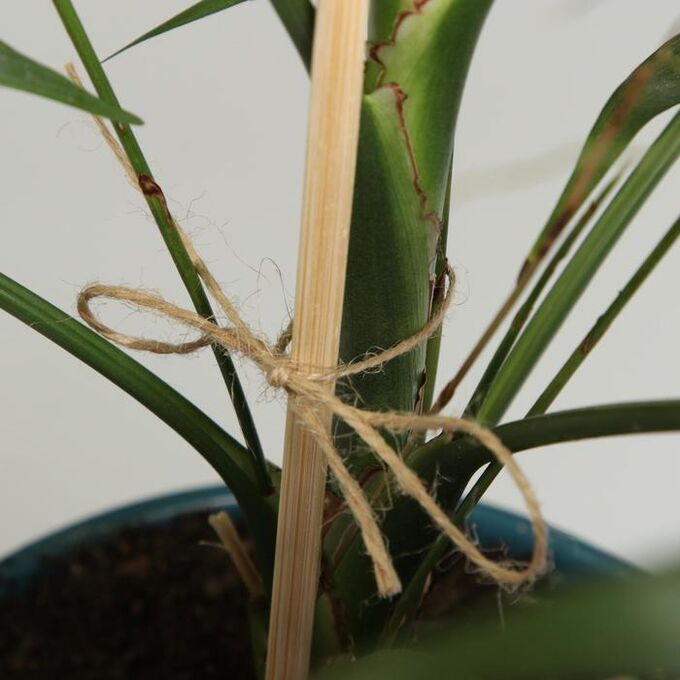 Шпагат джутовый Эконом, 120 м/бобина, Радосвіт 2