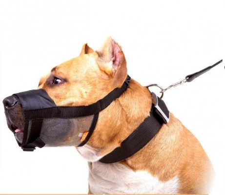 Намордник нейлоновий Collar Dog Extrem, регульований з сіткою №3, 25-34 см, ротвейлер, сенбернар, кане-корсо, ньюфаундленд (4322) 4