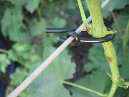 Агротрубка Agrario для підв'язки (кембрік еластичний), чорна, D 3 мм 1 кг 2