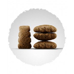 Сухой корм Josera Sensi Plus для взрослых собак с чувствительным пищеварением, 900 г 2