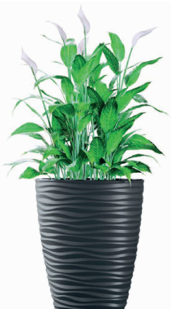 Горщик для квітів Form-Plastic Сахара-30 14,6 л, антрацит (2720-014) 2