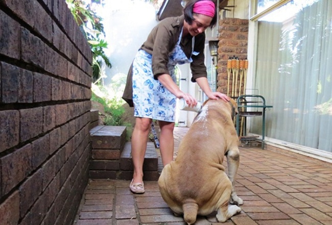 Присыпка антибактериальная Лори для ран, 45 г 3