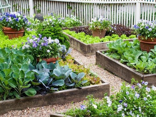 Органічне добриво Мультимікс Bio універсальне, сад, город, ландшафт ТМ Reanimator, 250 г 2