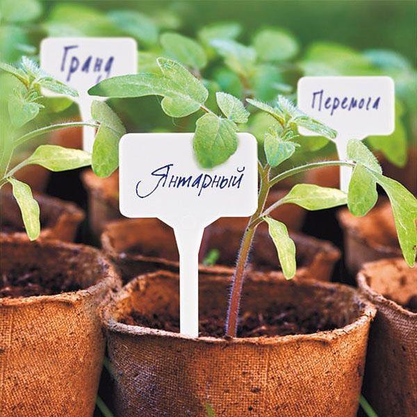 Многоразовые садовые маркеры 35х55 мм, 10шт 3