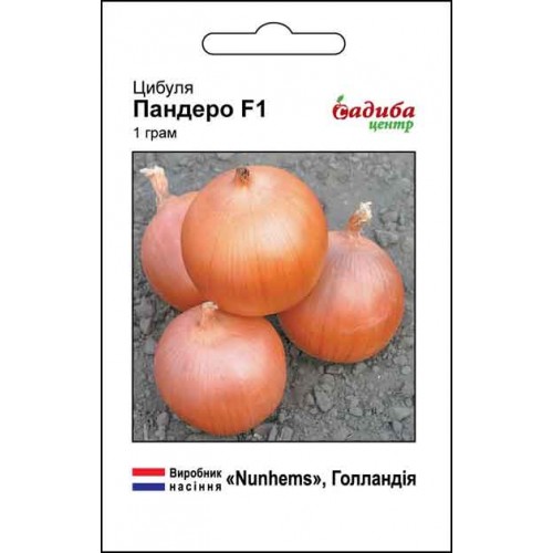 Насіння цибулі Пандеро F1, 1г, Nunhems, Голандія, насіння Садиба Центр