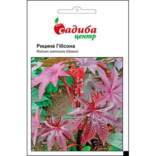 Насіння рицини Гібсона, 3шт, Hem, Голландія, Садиба Центр