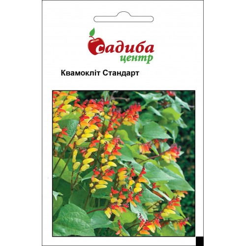 Семена квамоклита Стандарт, 0.2г, Hem, Голландия, Садиба Центр