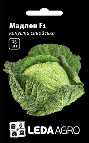 Насіння капусти Мадлен F1, 15 шт, Rijk Zwaan, Голландія, Леда Агро 1
