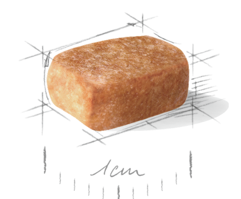 Сухий корм Royal Canin Chihuahua Puppy для цуценят чихуахуа віком від 2 до 8 місяців, 500 г 2