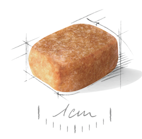 Сухий корм Royal Canin Chihuahua Adult для чихуахуа від 8 місяців, 500 г 2