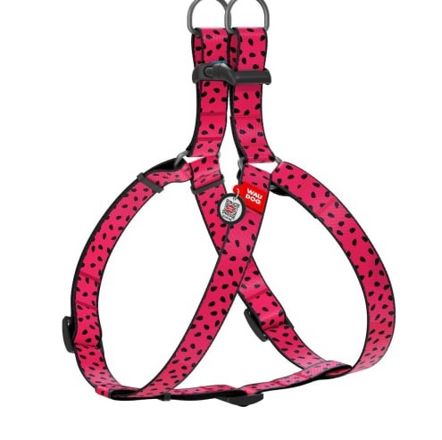 Шлея для собак WAUDOG Nylon c QR паспортом, малюнок Вітраж, 10 мм / 28-40 см, Collar (5258)