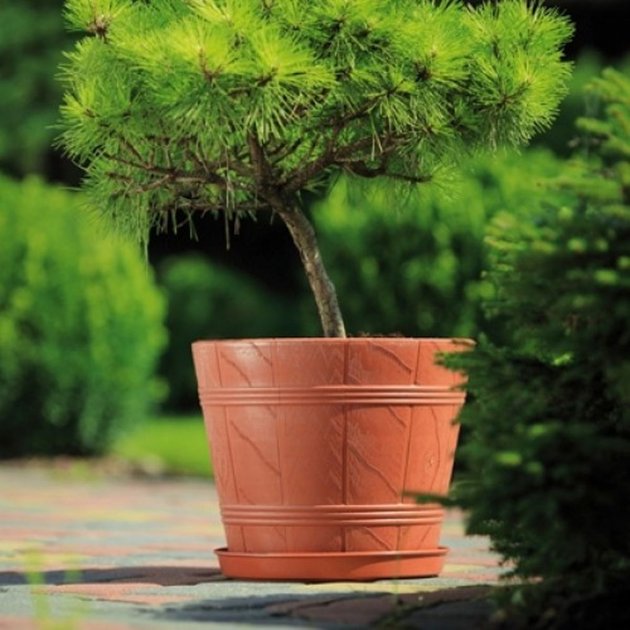 Горщик для квітів Дерево ЕЛЬБА-6 25л теракотовий 2