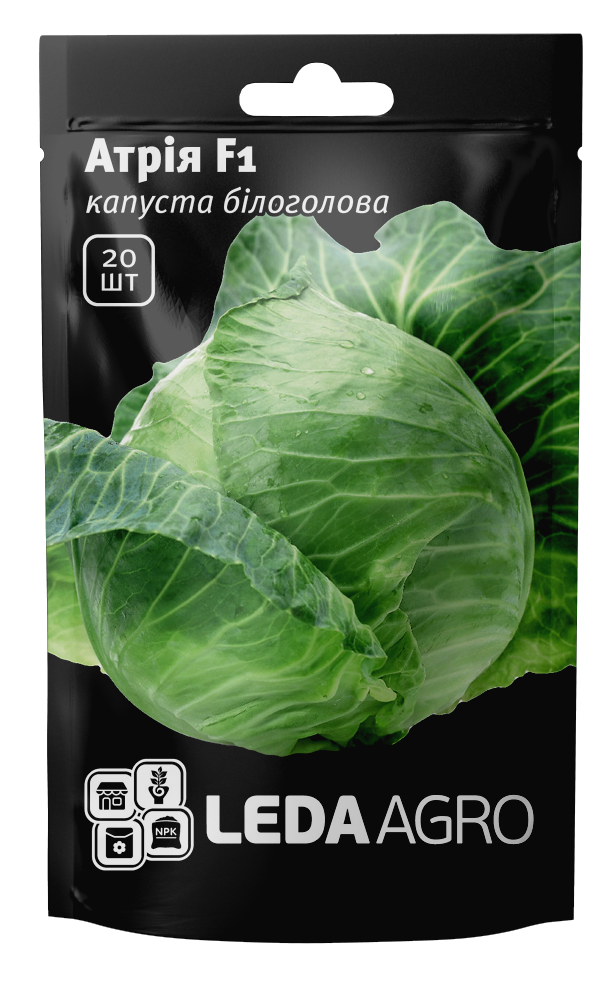 Насіння капусти Атрія F1, 20шт, Seminis, Голандія, насіння Леда Агро