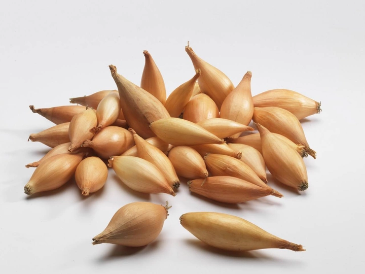 Семена лука-севка Голиат F1, 1кг, Голландия