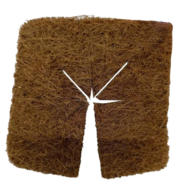 Кокосовий килимок EuroCocos для щеплення 10х10см.