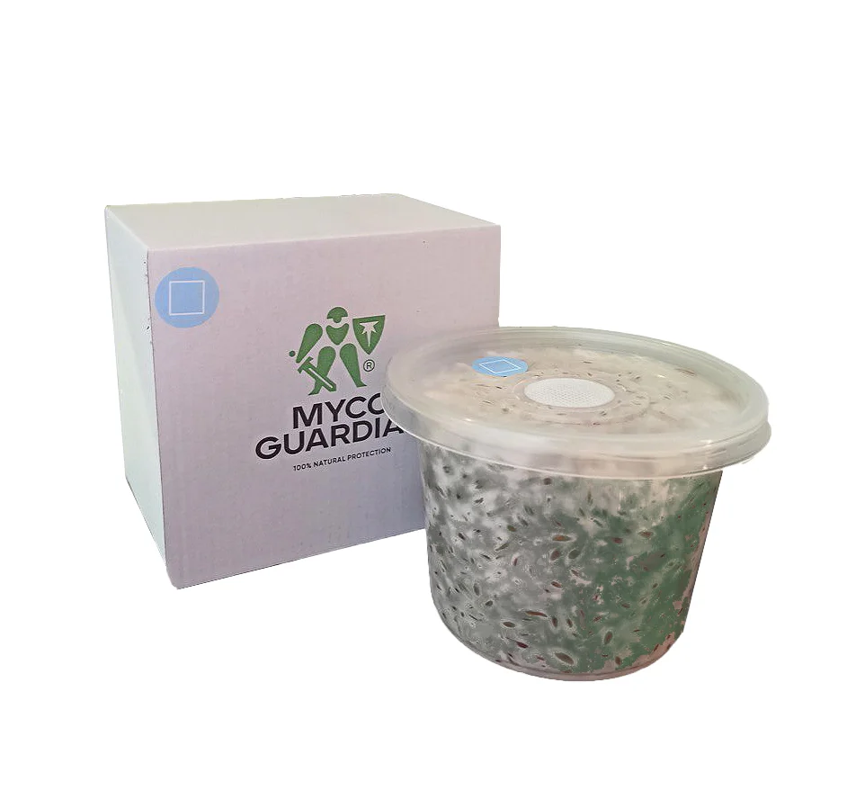 Біофунгіцид, зерновий міцелій гриба Metarhizium Anisopliae, 500 мл, ТМ Myco Guardian