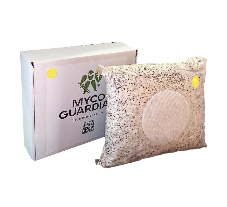 Біофунгіцид, зерновий міцелій гриба Paecilomyces Lilacinum, 4 л, ТМ Myco Guardian