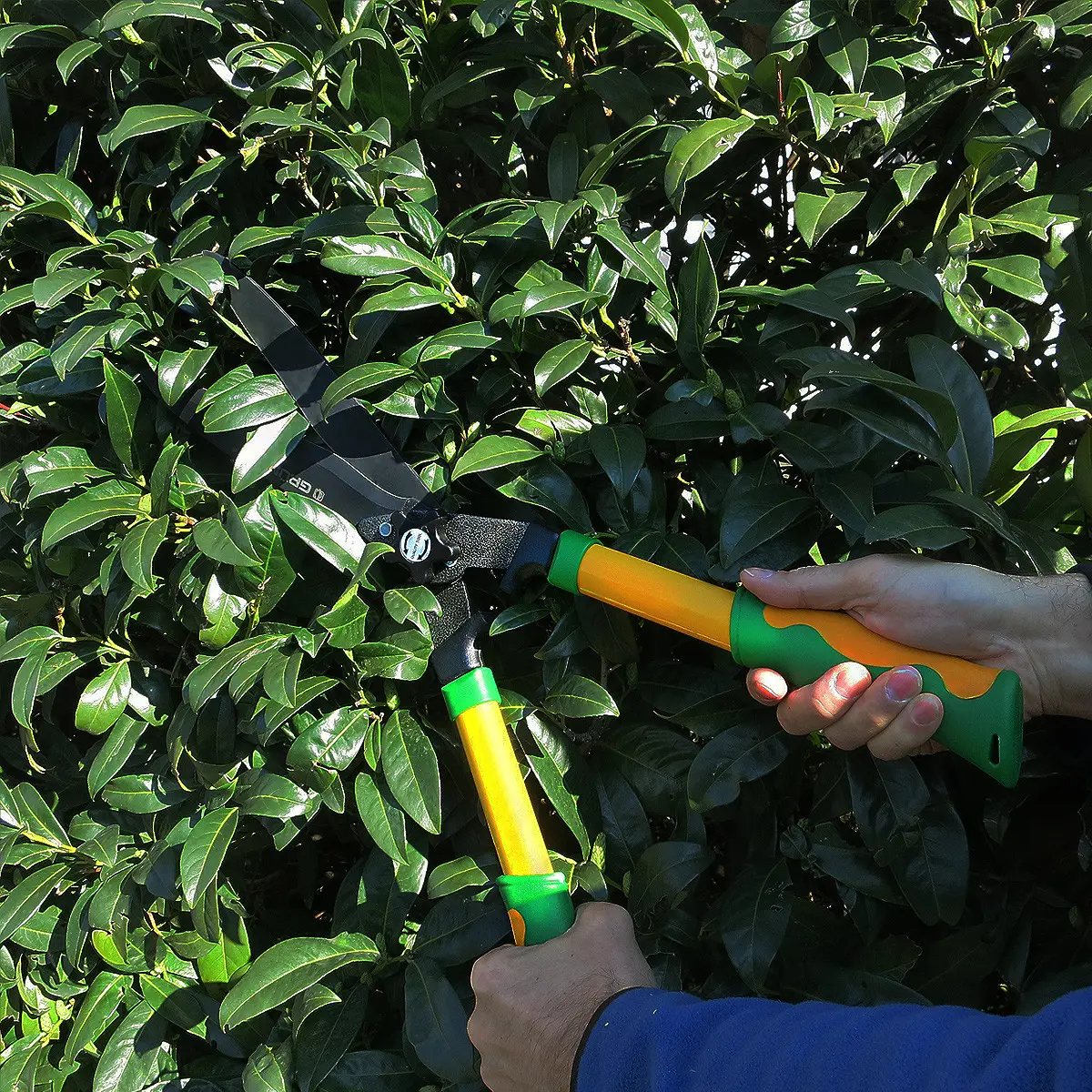 Ножиці для живоплоту, Gruntek, 295303560 3