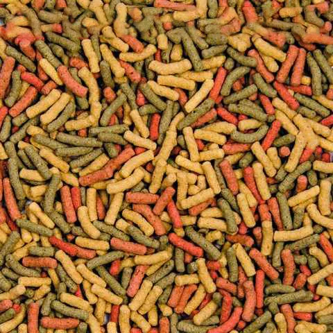 Корм для риб Биовит Золоті рибки в гранулах, 10 г (240467) 2