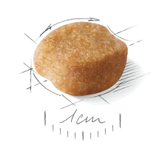 Сухий корм Royal Canin Yorkshire Terrier Adult для дорослих собак старше 10 місяців, 500 г 2