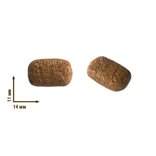 Сухий корм Home Food для активних собак середніх і великих порід, ягня з рисом і яблуком, 1,6 кг 2