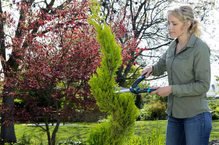 Ножницы для живой изгороди PrecisionCut, Gardena, 12302-20.000.00 6